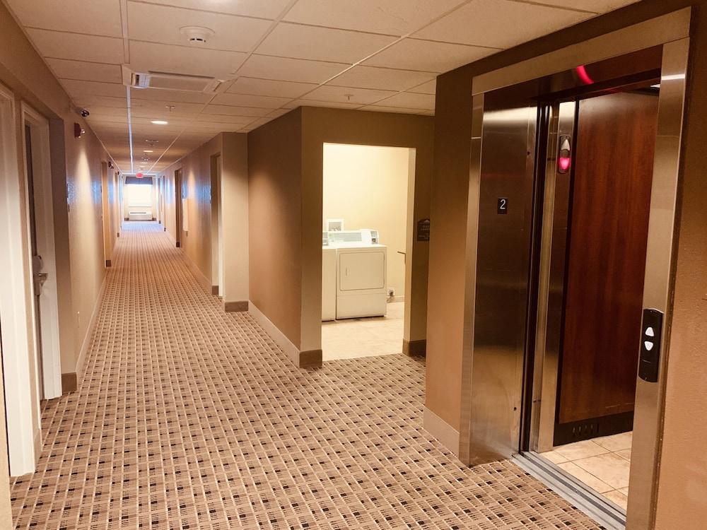 Microtel Inn & Suites-Sayre, Pa Εξωτερικό φωτογραφία